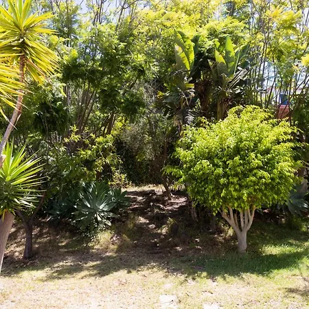 Villa Home2book Exclusive With Pool, El El Sauzal