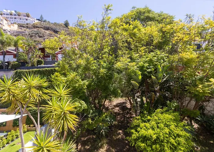 Home2book Exclusive With Pool, El * 사우살